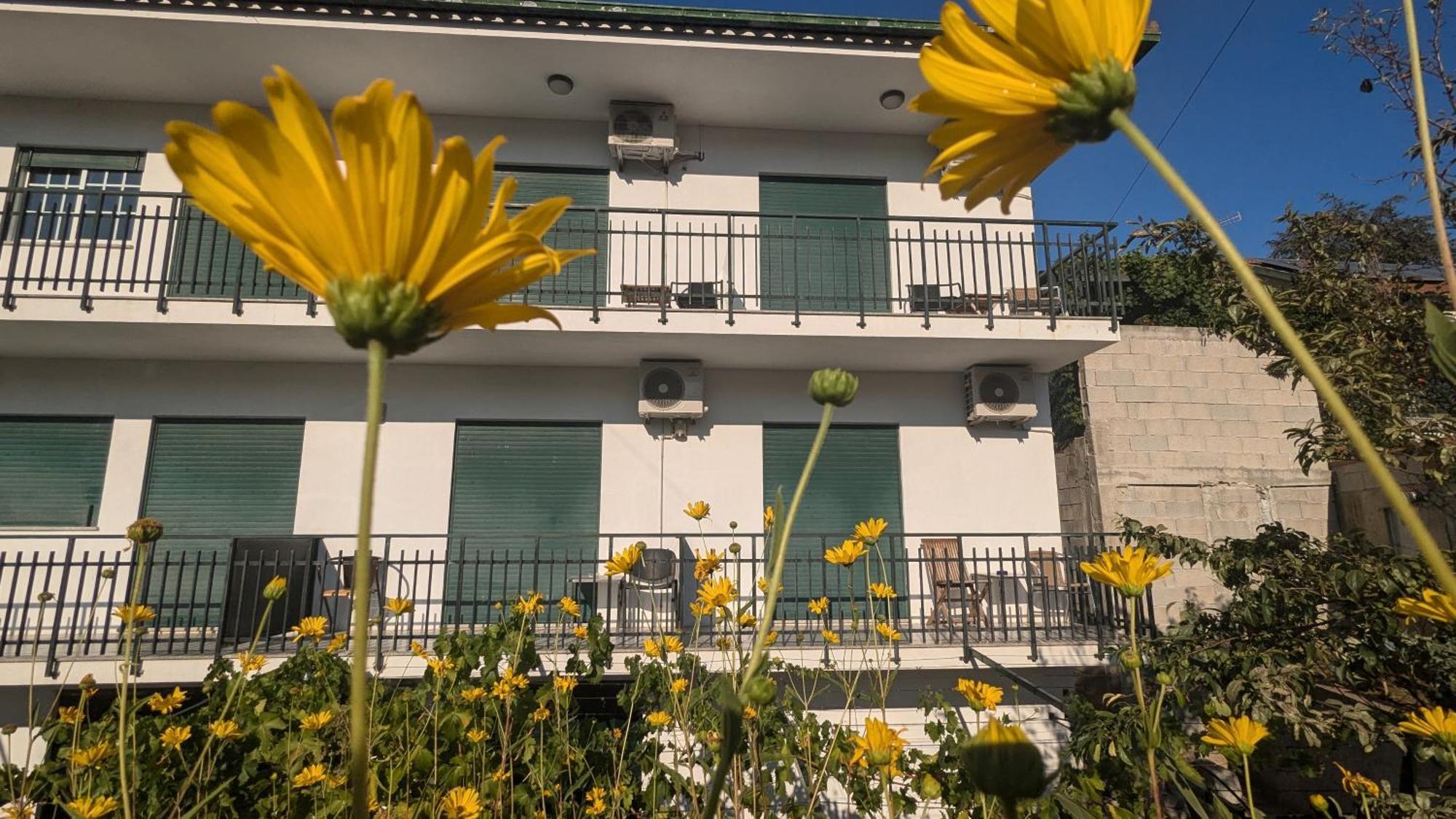 Отель Casa Do Olival Пезу-да-Регуа Экстерьер фото